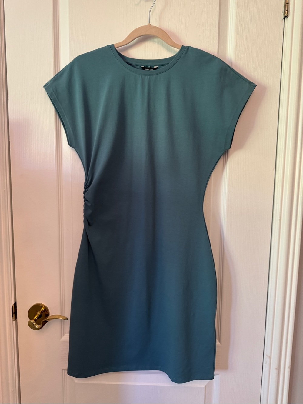 RW&CO Women’s Teal Side-Ruched Cap Sleeve Dress